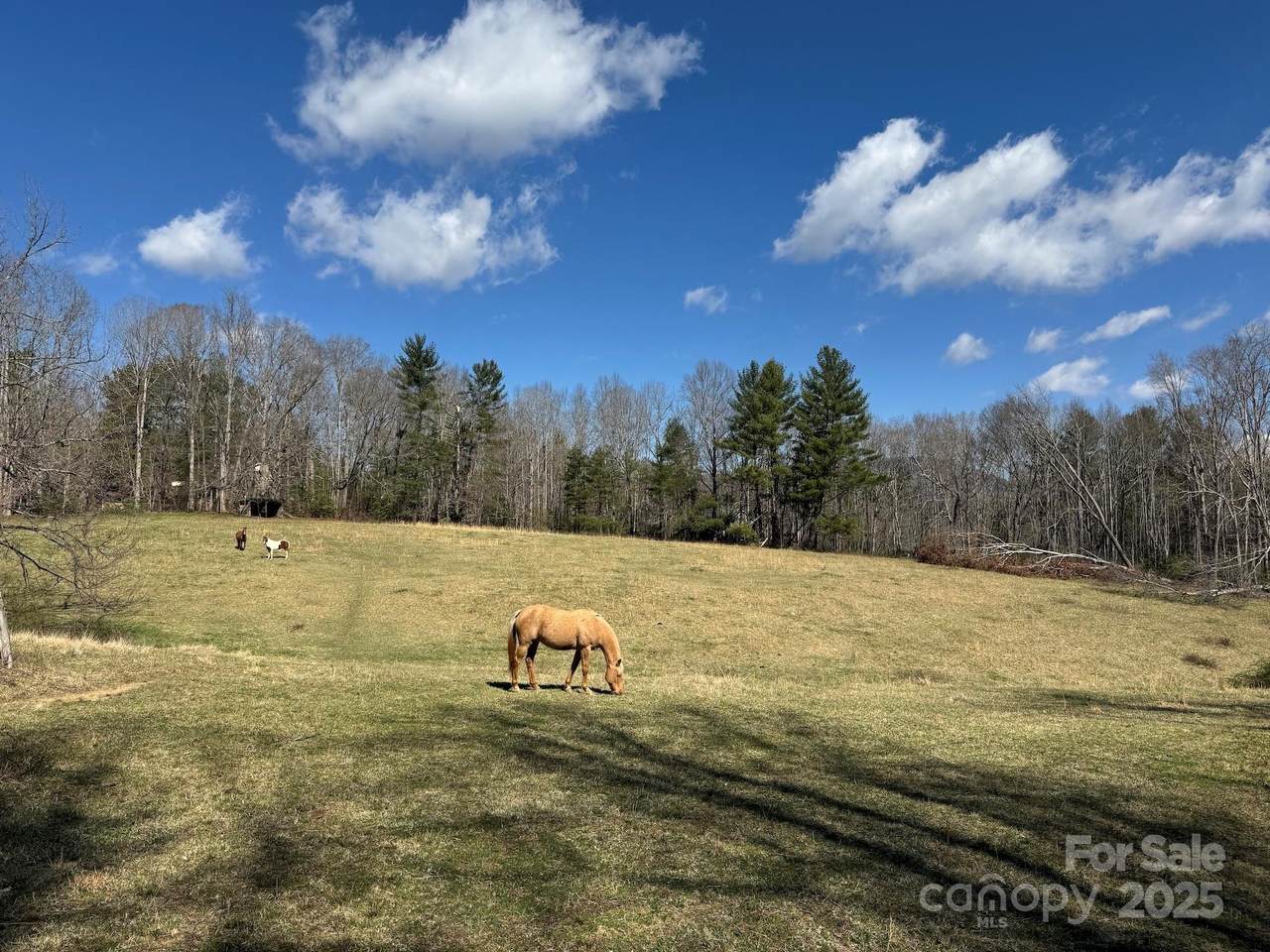 TBD Lytle Road - Photo 1