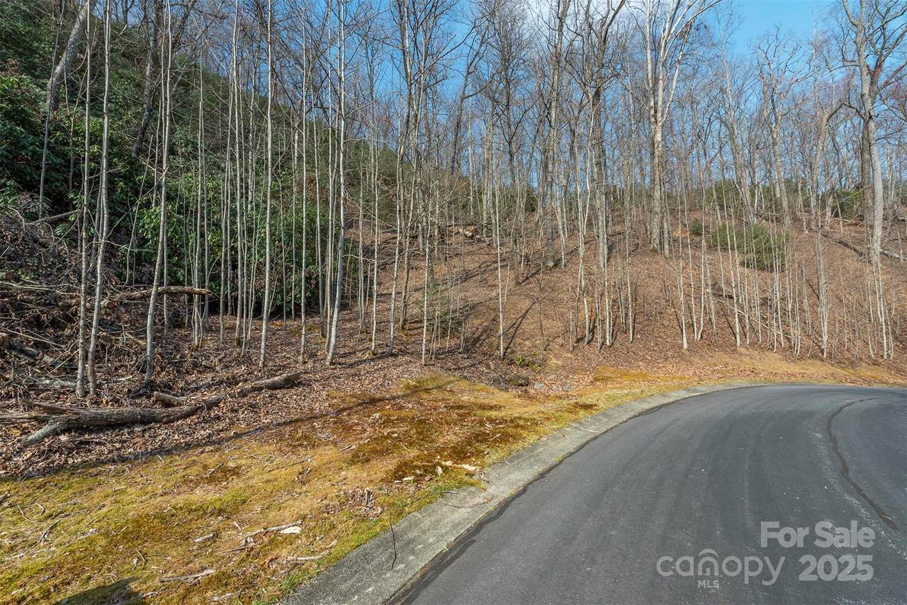 0 Shining Rock Path - Photo 1