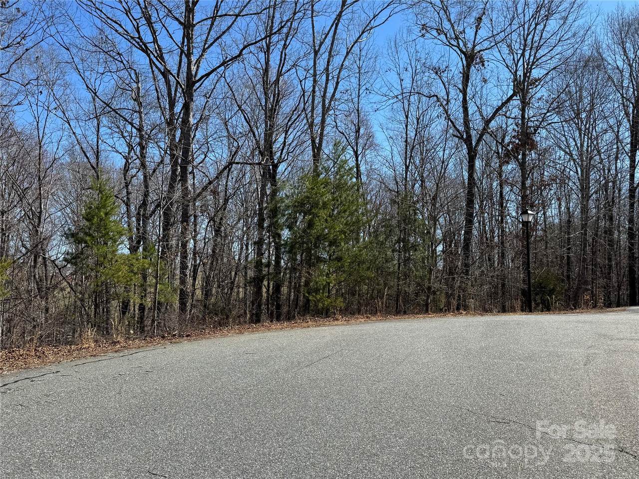 00 Shady Bark Lane - Photo 1