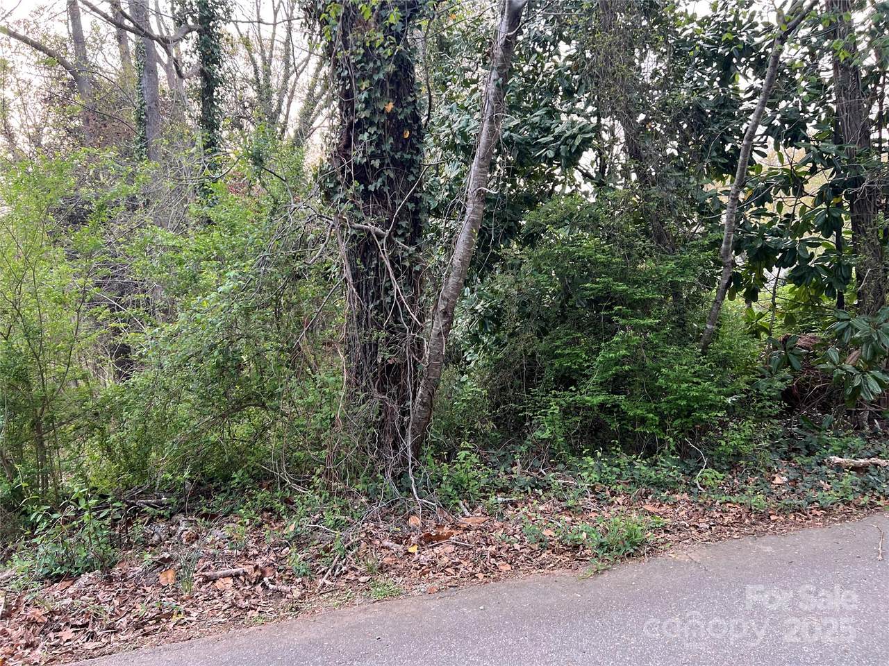 999 California Street - Photo 1