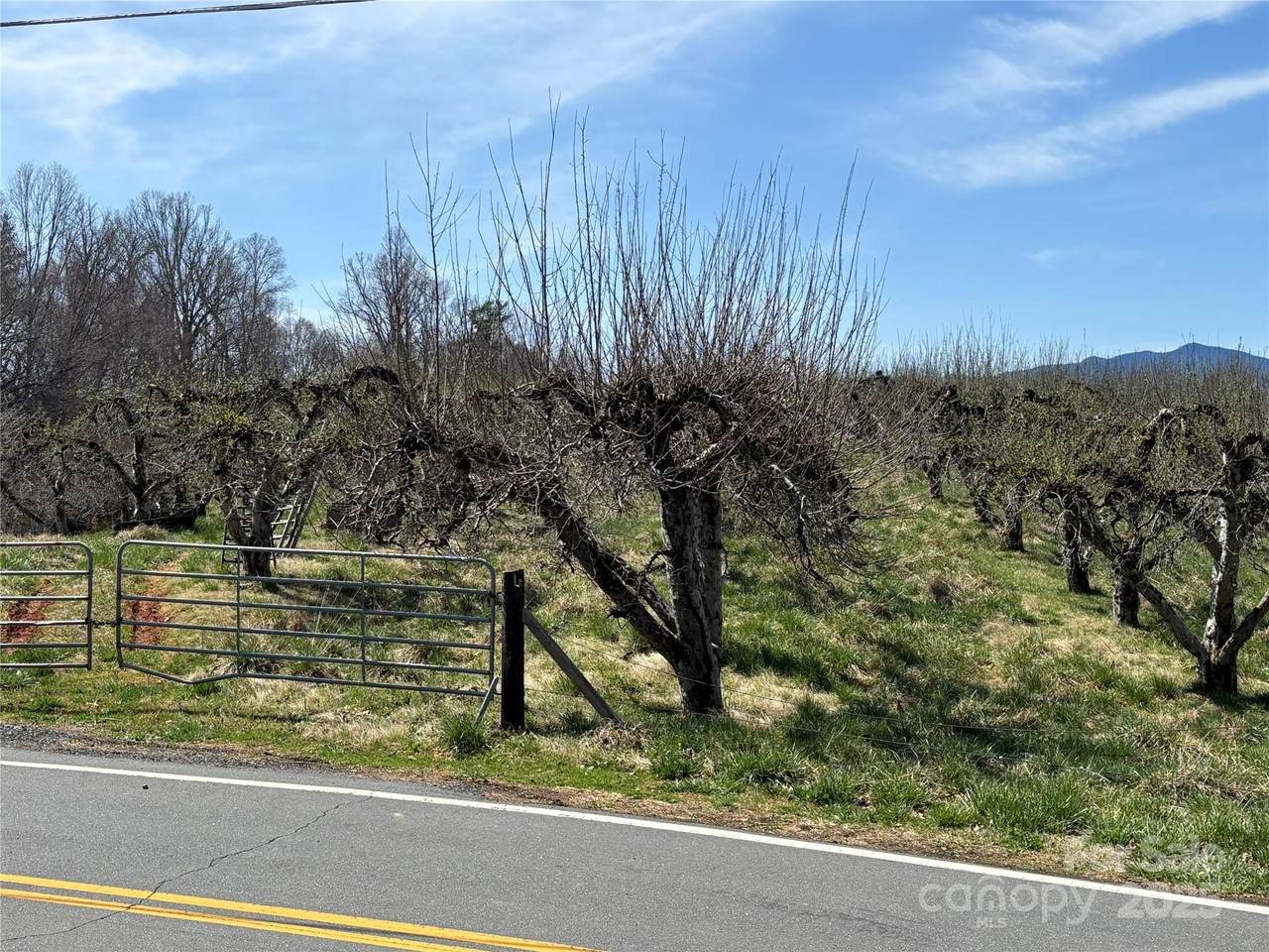 00 Snow Creek Road - Photo 1