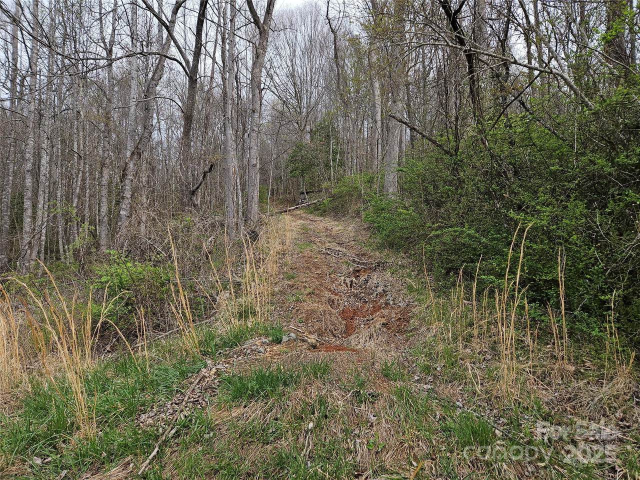 99999 Patton Hill Road - Photo 1