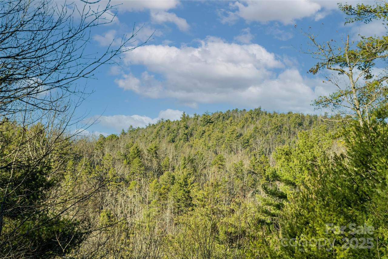 167 Shoal Creek Road - Photo 1