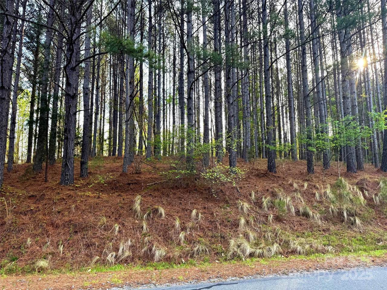 0 Clearwater Parkway - Photo 1