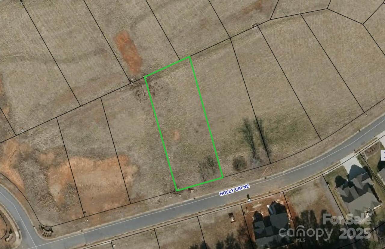 4129 Holly Circle - Photo 1