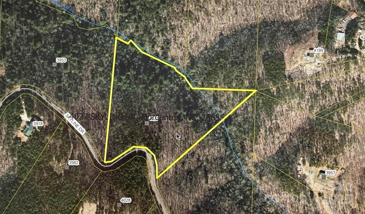 4027 Skyline Drive - Photo 1