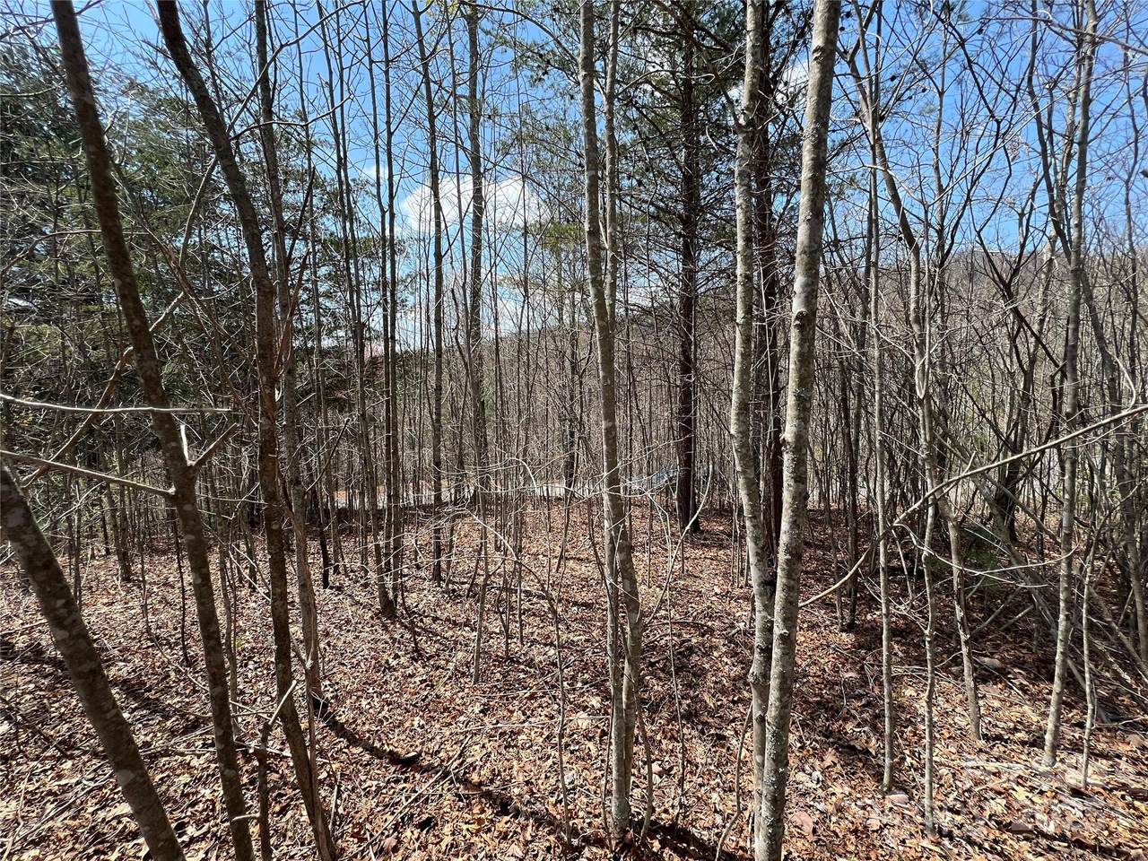 192 Pine Cone Trail - Photo 1