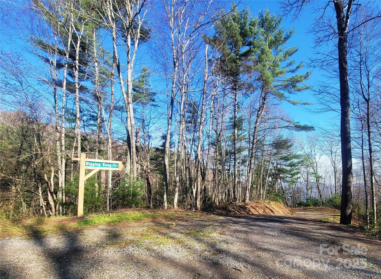 111 Digging Seng Trail - Photo 1