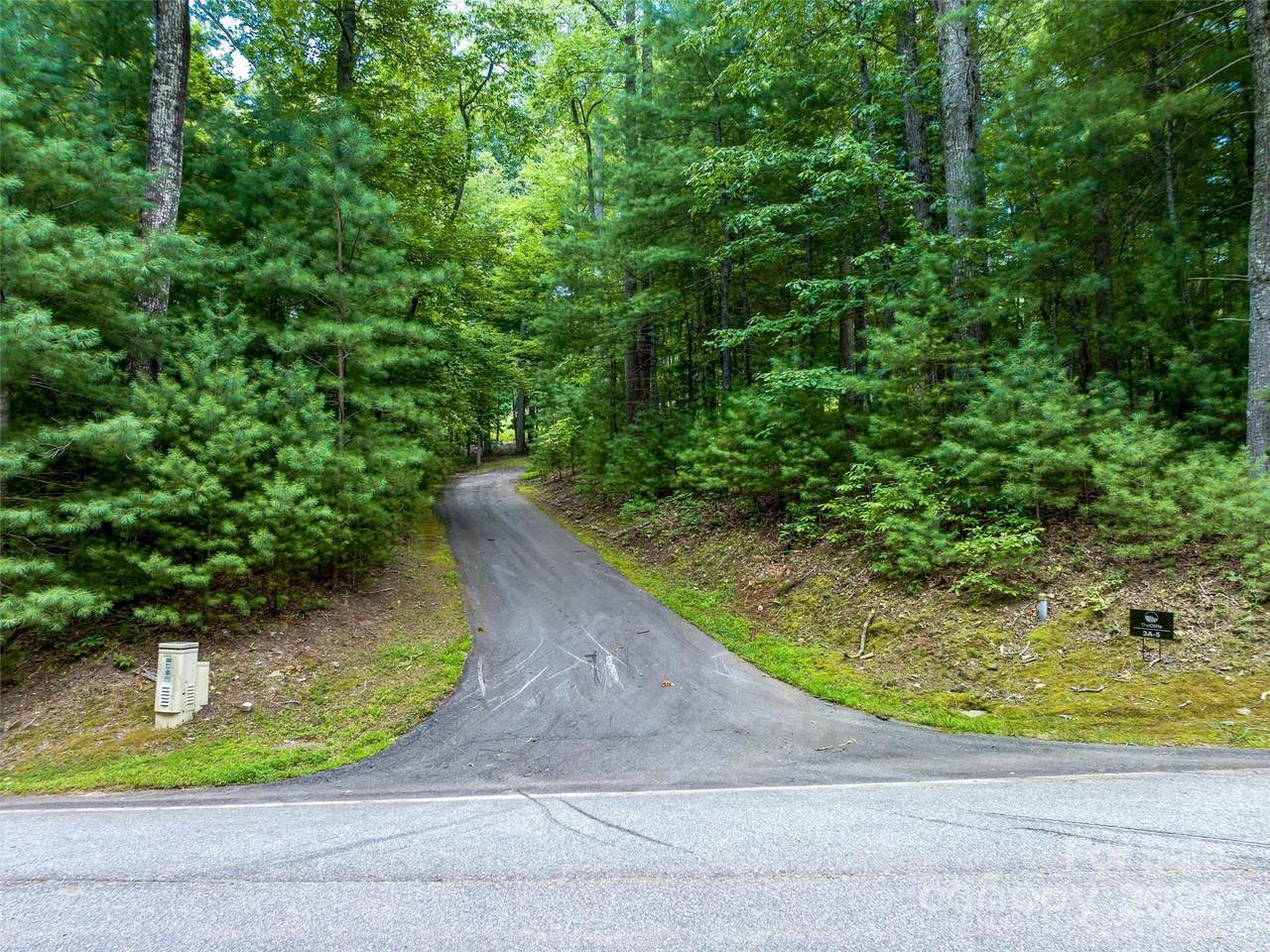 36 Dividing Ridge Trail - Photo 1
