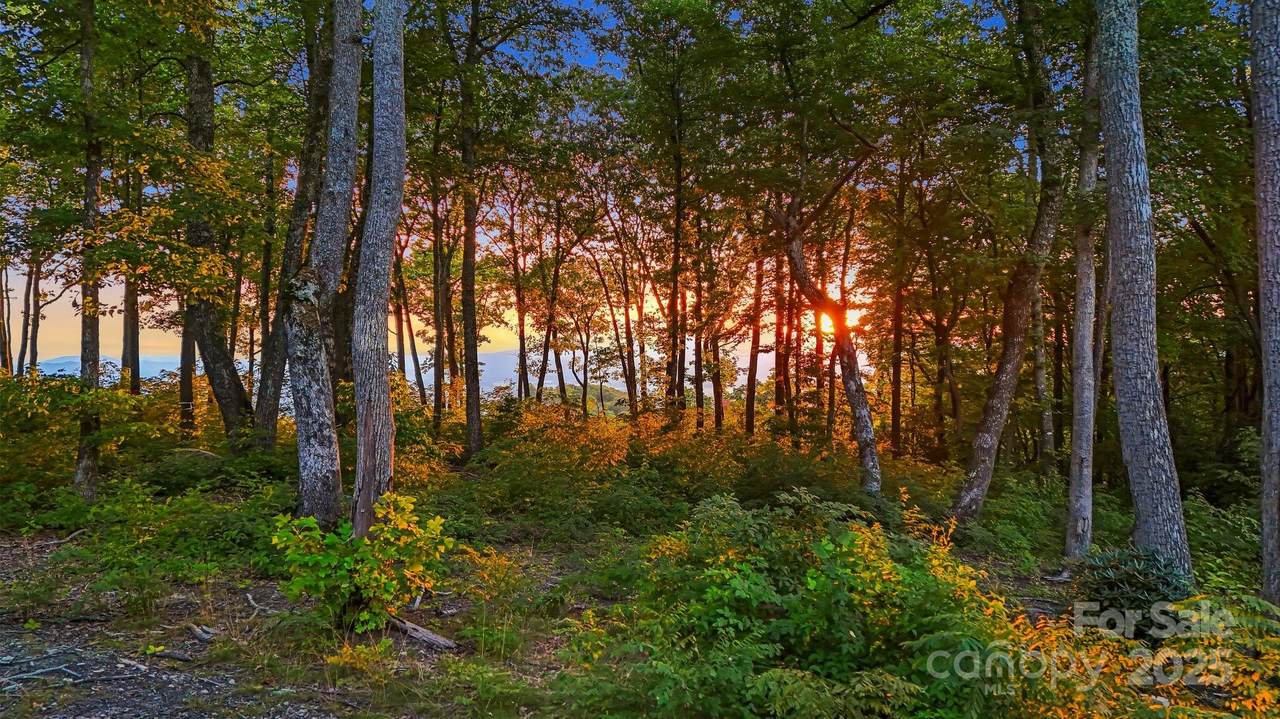 https://bt-photos.global.ssl.fastly.net/cmls/1280_boomver_1_4248239-1.jpg