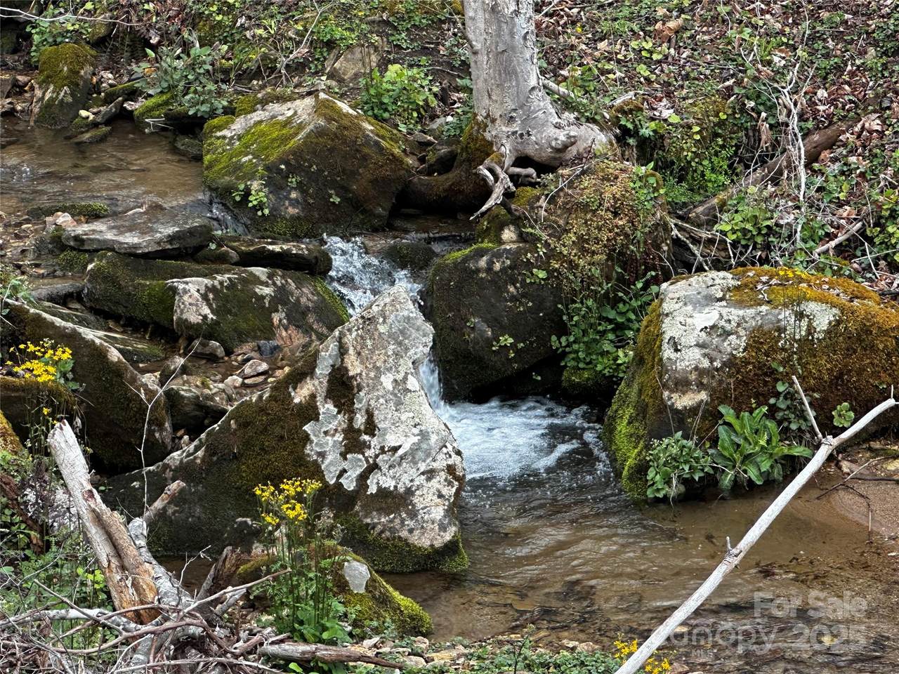 00 Aaron Branch - Photo 1