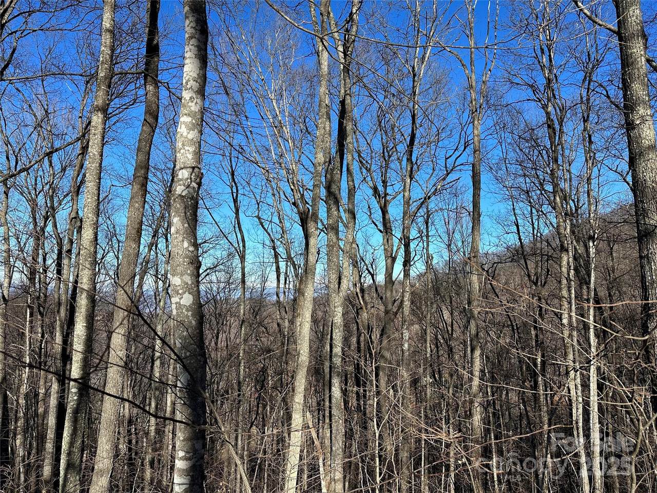 000 Macallan Drive - Photo 1