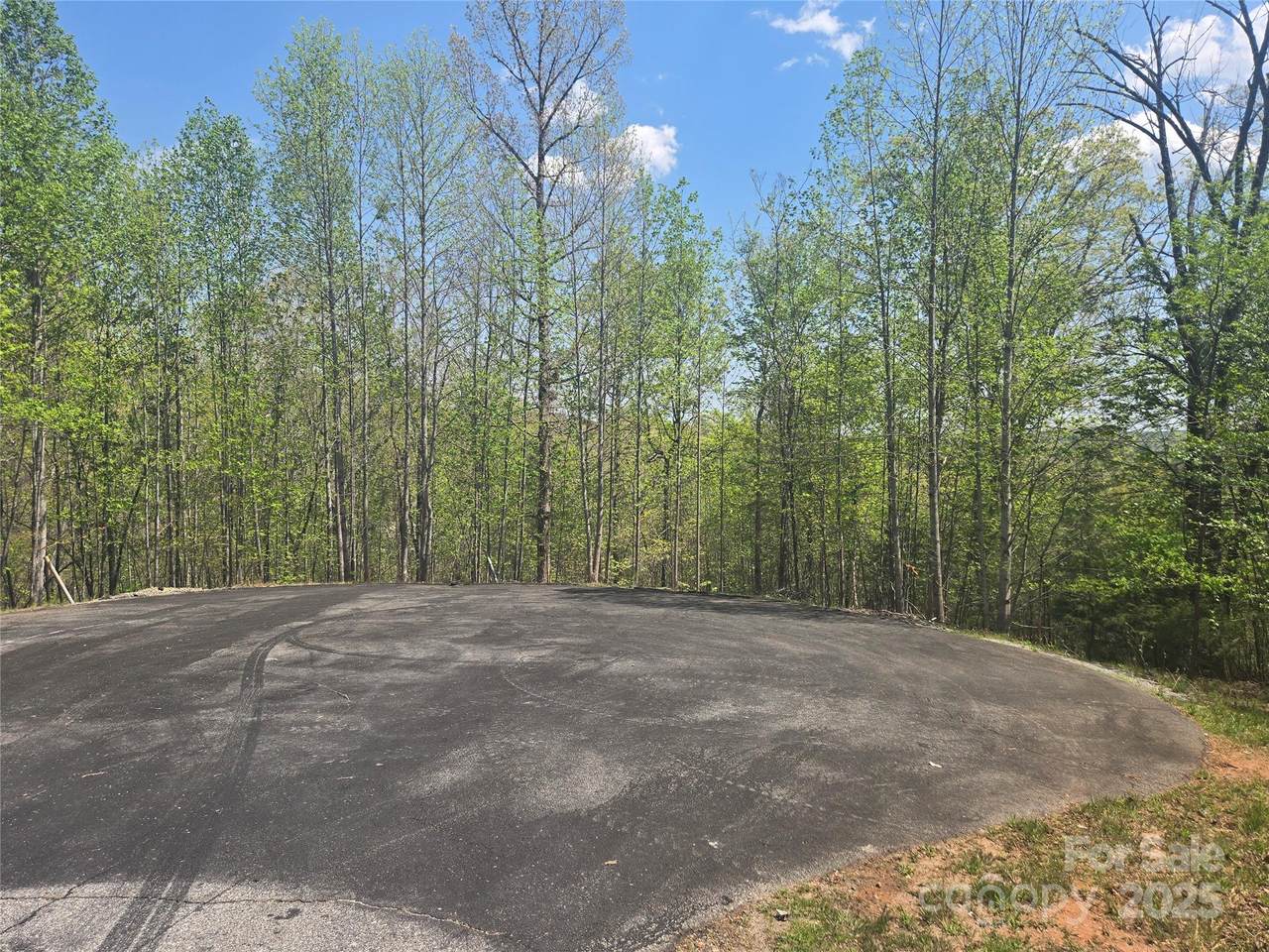 Lot 13 Back Hollow Drive - Photo 1