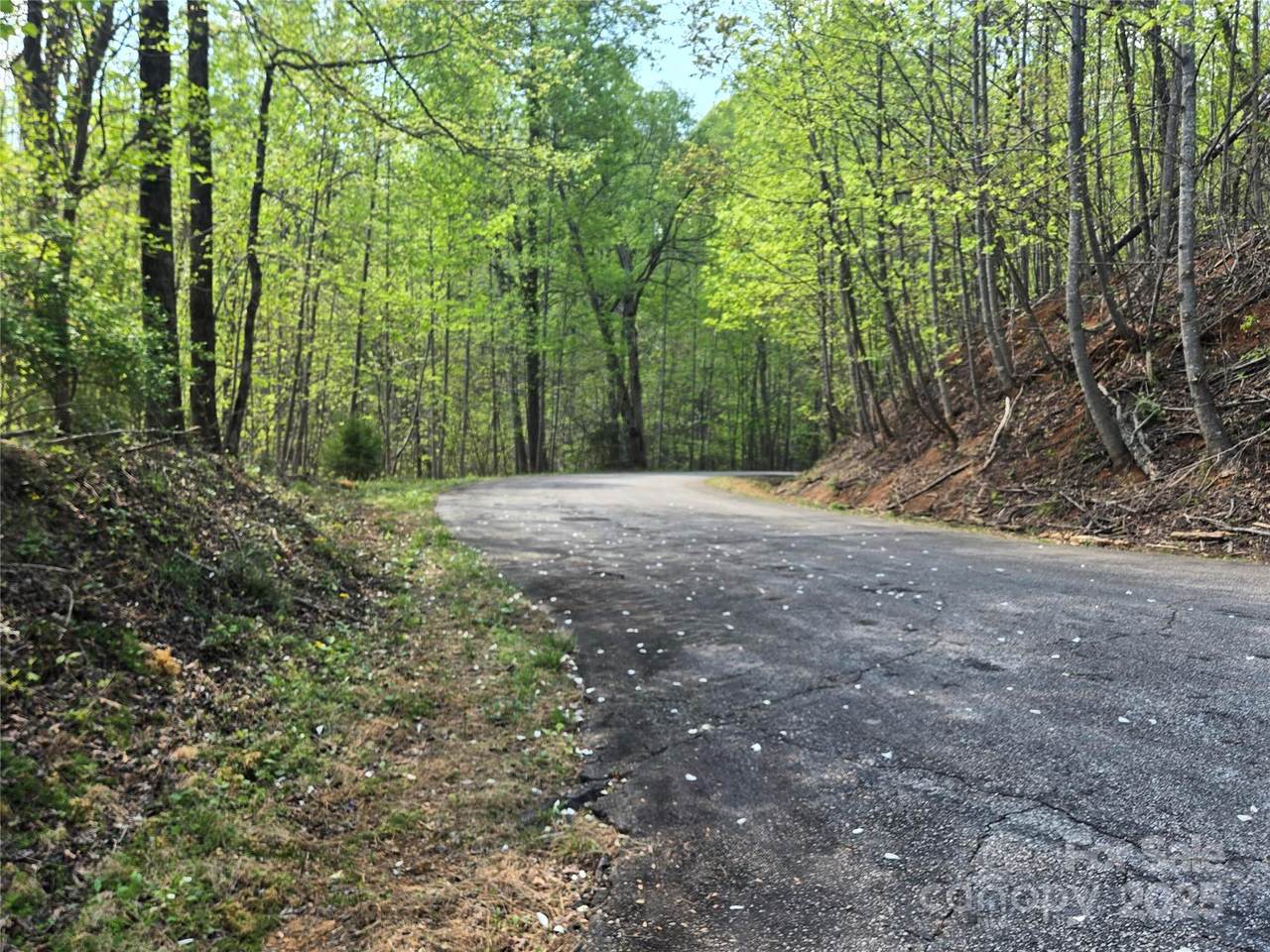 Lot 15 Touch Me Not Trail - Photo 1