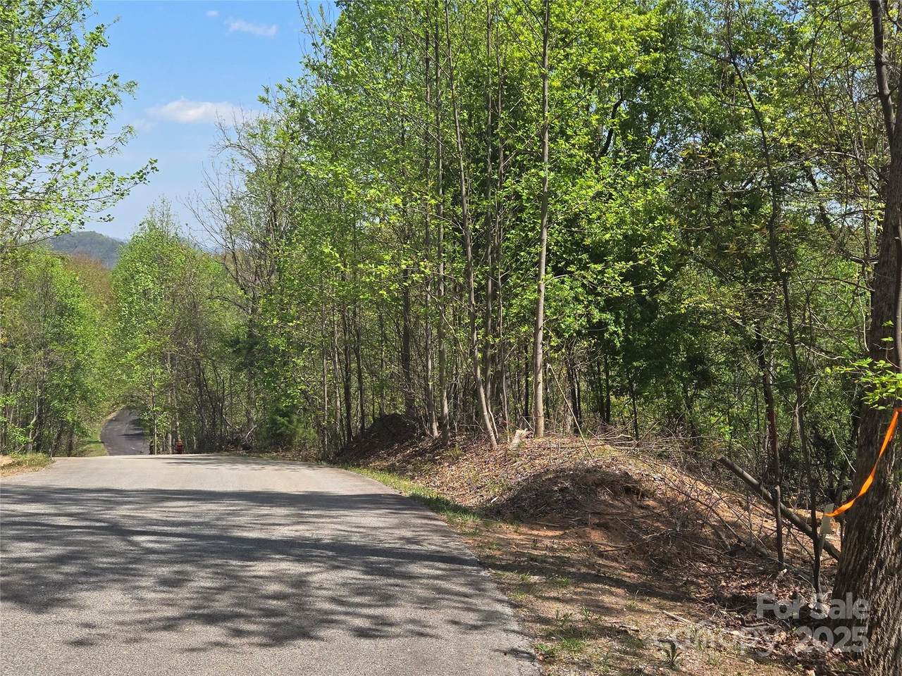 Lot 16 High Rock Ridge - Photo 1