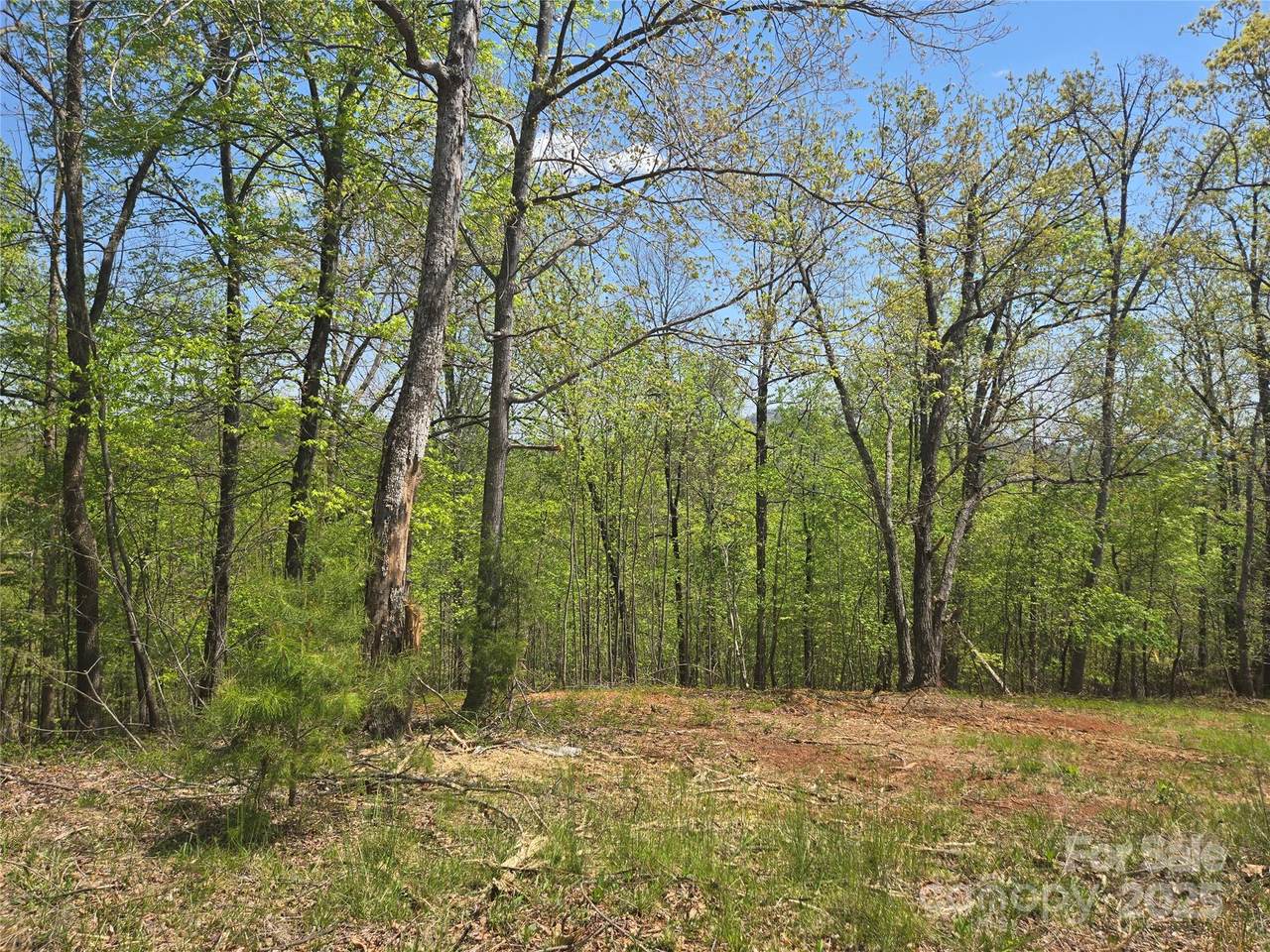 Lot 23 High Rock Ridge - Photo 1