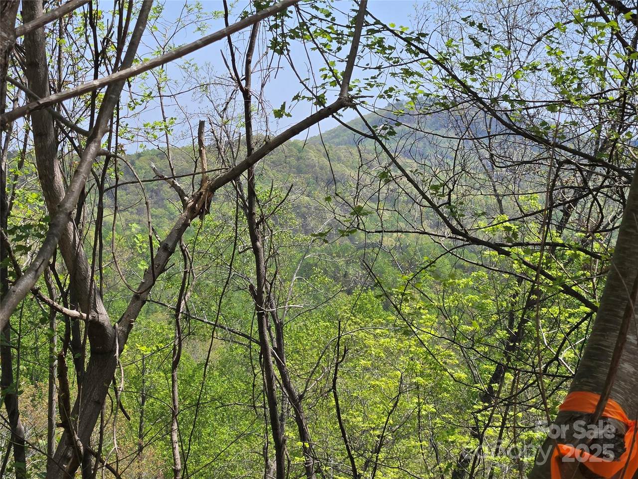 Lot 24 High Rock Ridge - Photo 1