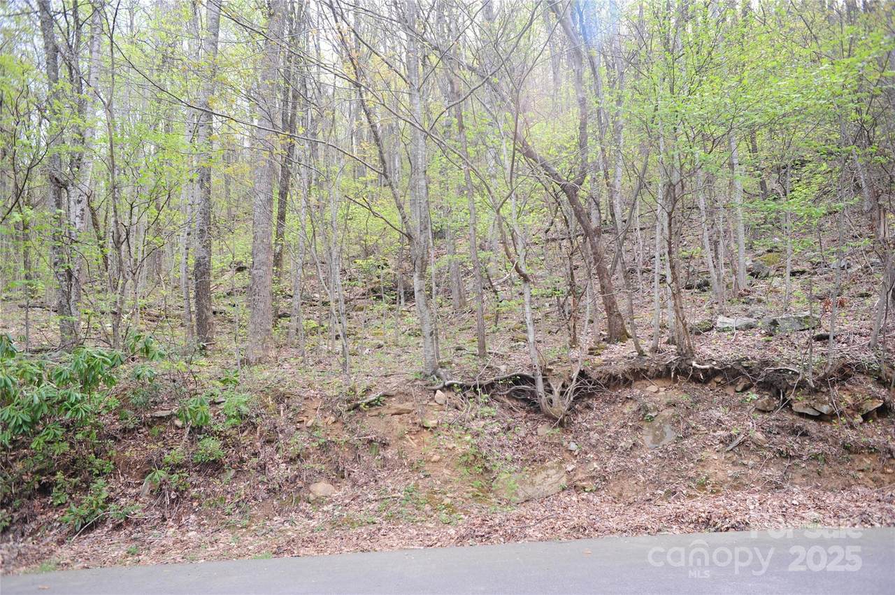 36 Great Aspen Way - Photo 1