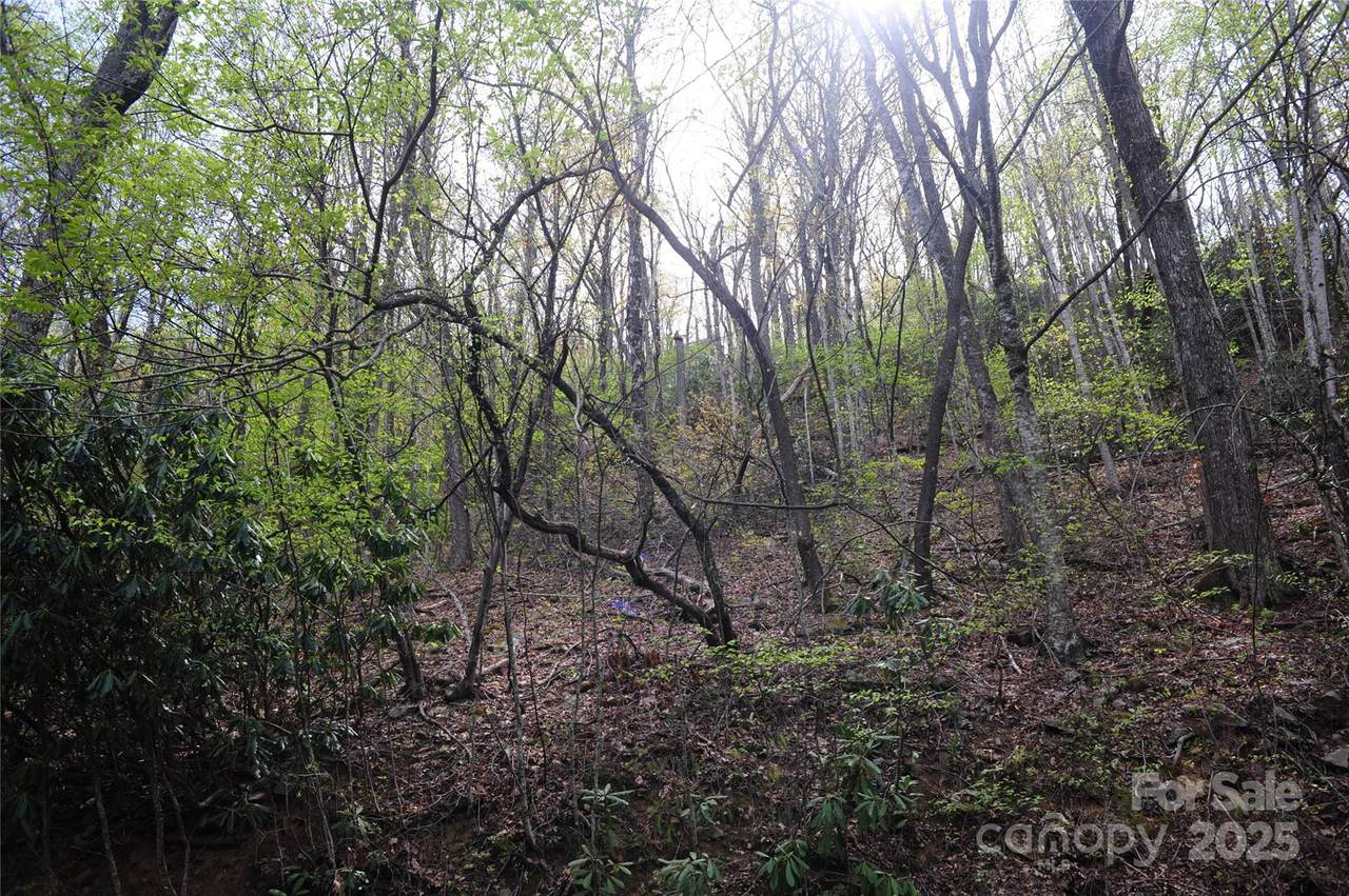 https://bt-photos.global.ssl.fastly.net/cmls/1280_boomver_1_4250491-1.jpg