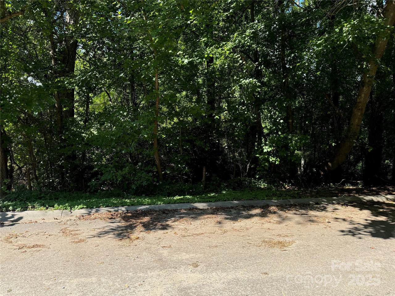 .99 acres Hwy 321 Bypass - Photo 1