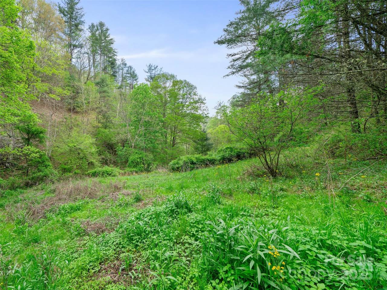 0 Fire Scald Road - Photo 1