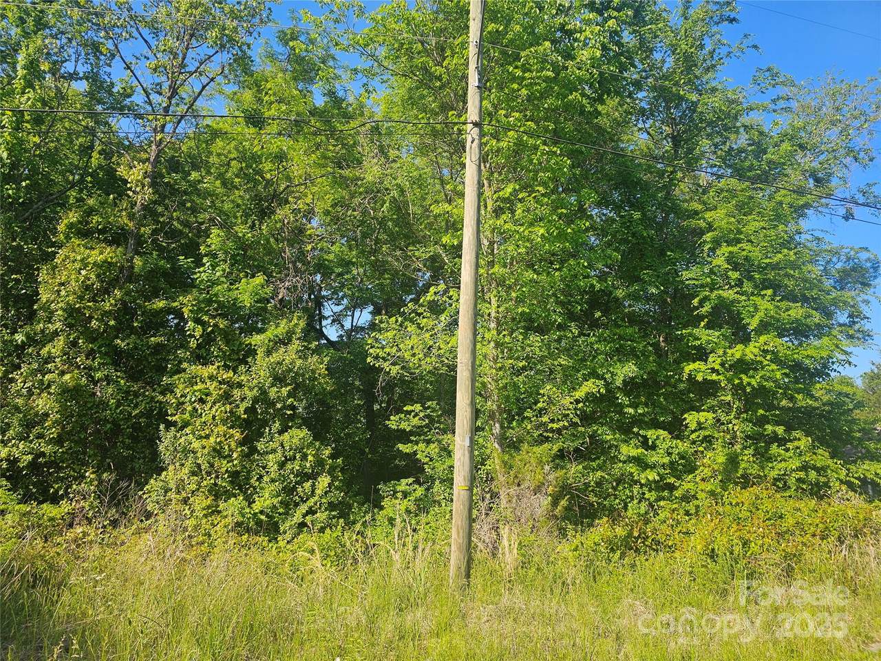 00 Horah Street - Photo 1