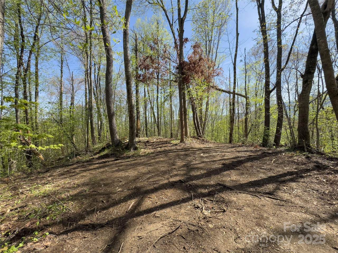 Lot 64/65 Big Springs Trail - Photo 1