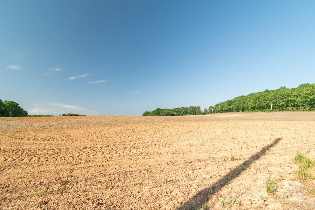 0 Hearne Road - Photo 1