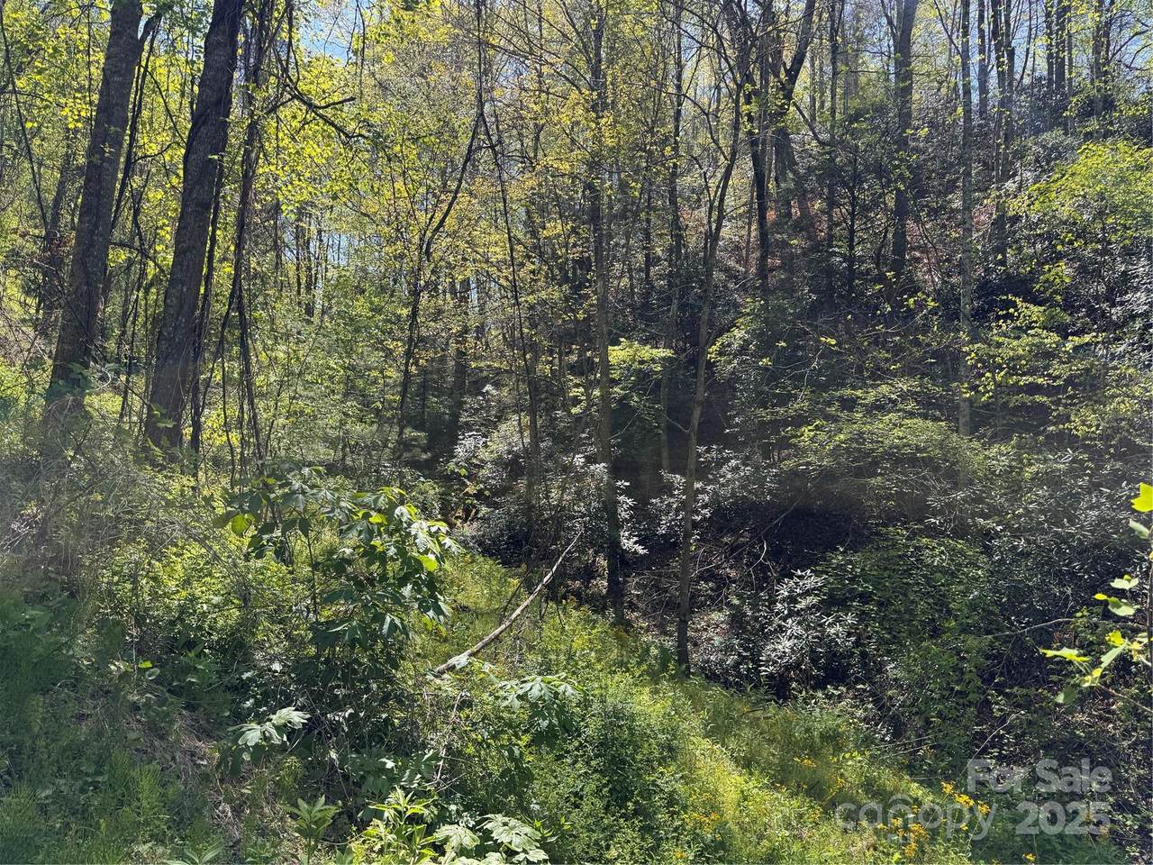 https://bt-photos.global.ssl.fastly.net/cmls/1280_boomver_1_4253658-1.jpg