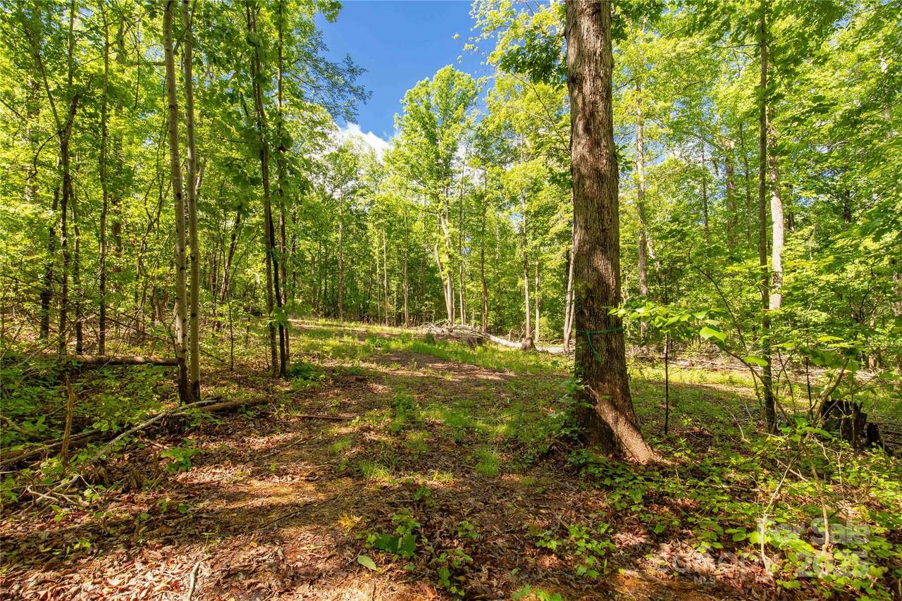 5212 Star Magnolia Court - Photo 1