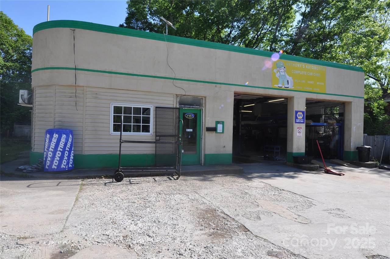 541 Pinckney Road - Photo 1