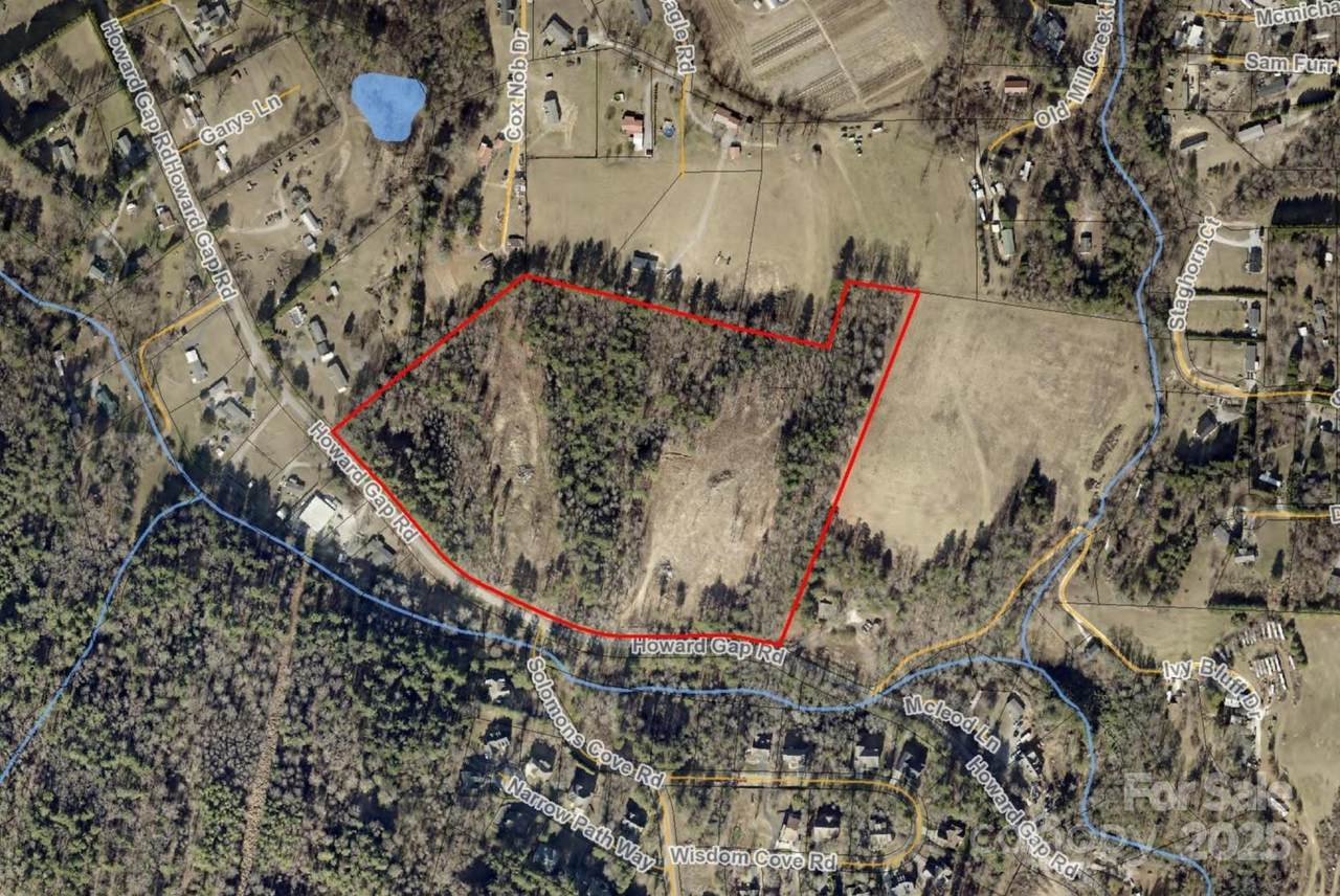 00 Howard Gap Road - Photo 1