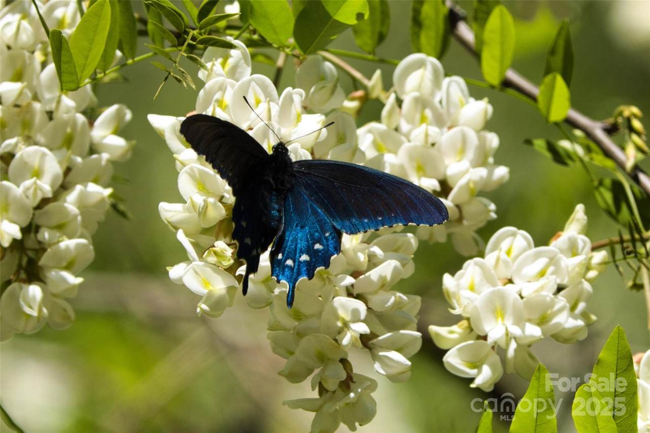 https://bt-photos.global.ssl.fastly.net/cmls/1280_boomver_1_4255466-1.jpg