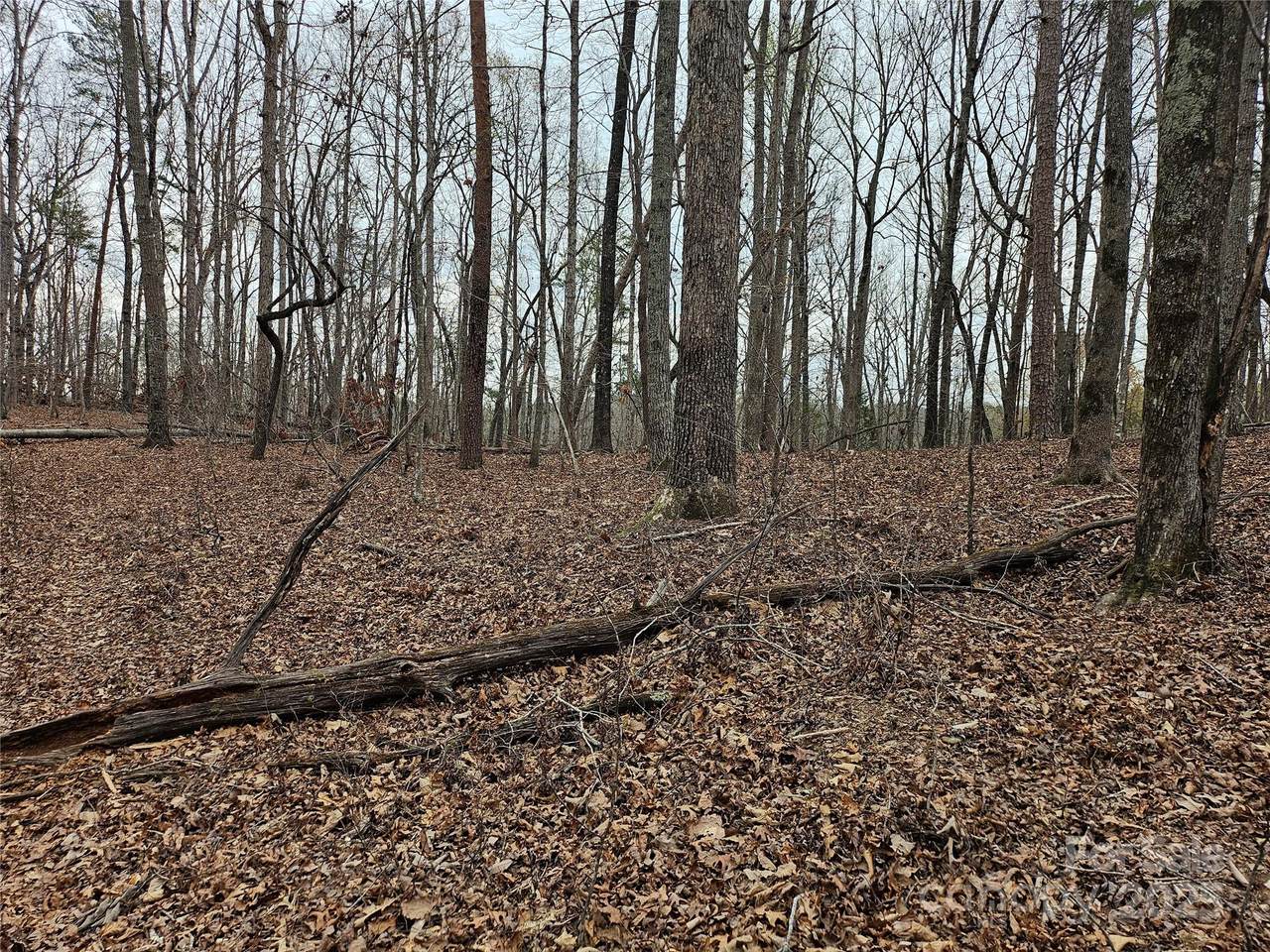 000 Weaver Mill Road - Photo 1