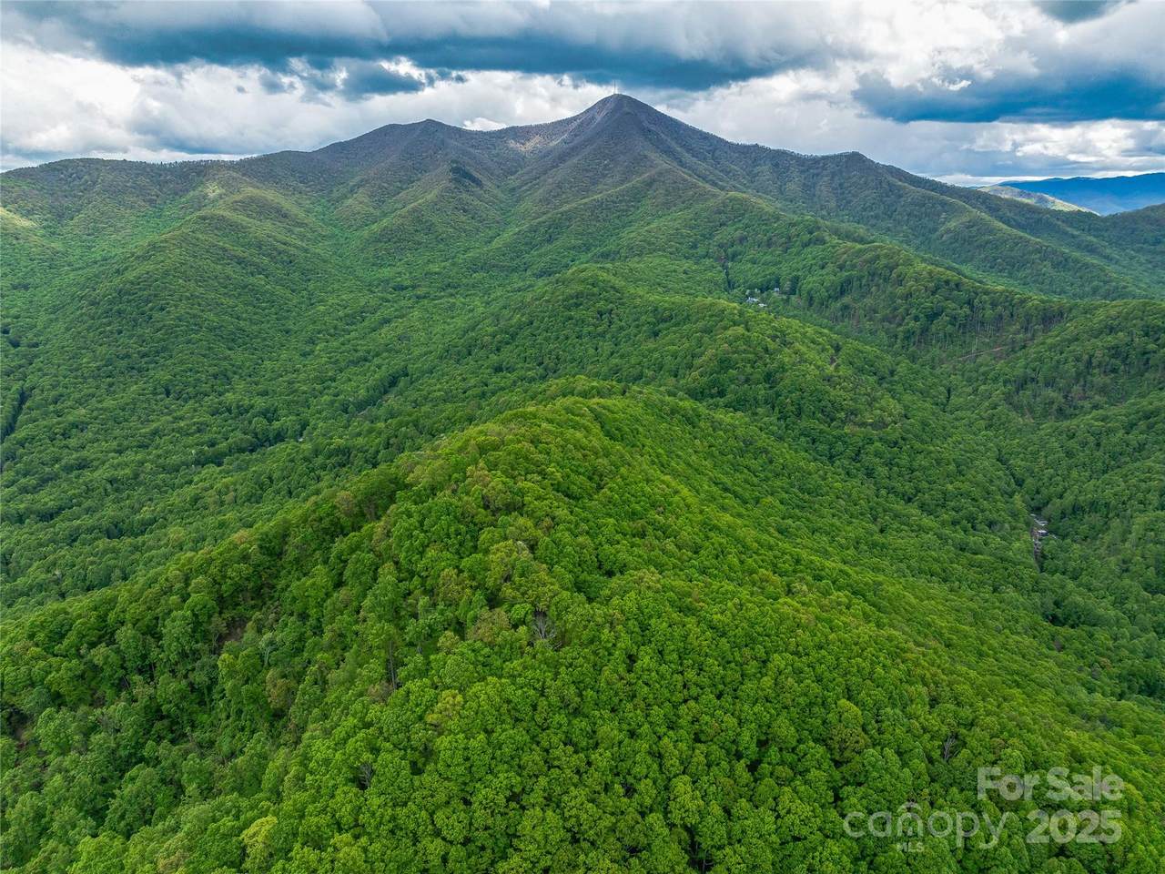 59 Pisgah Mountain Trail - Photo 1