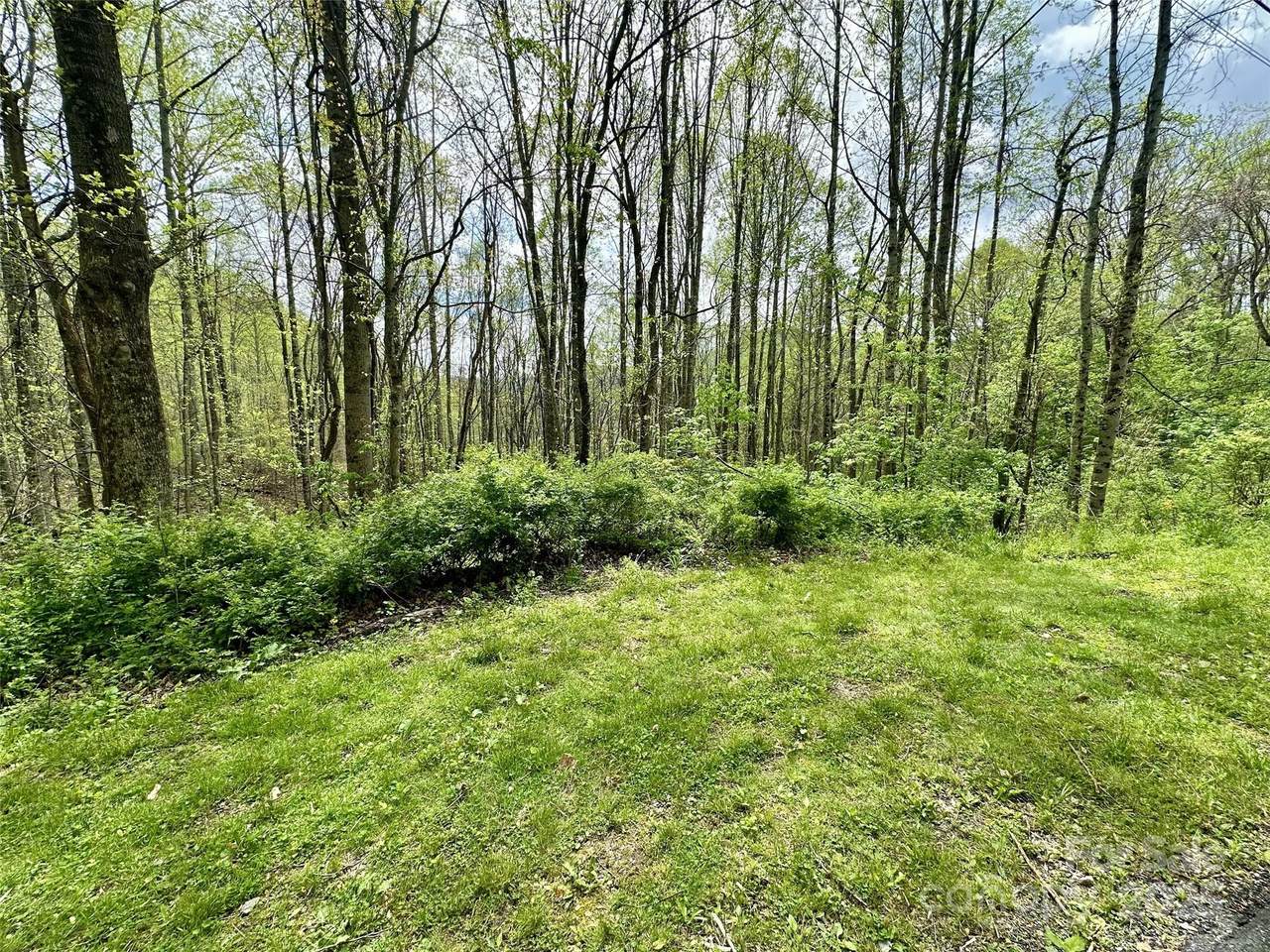 1 Deer Creek Trail - Photo 1