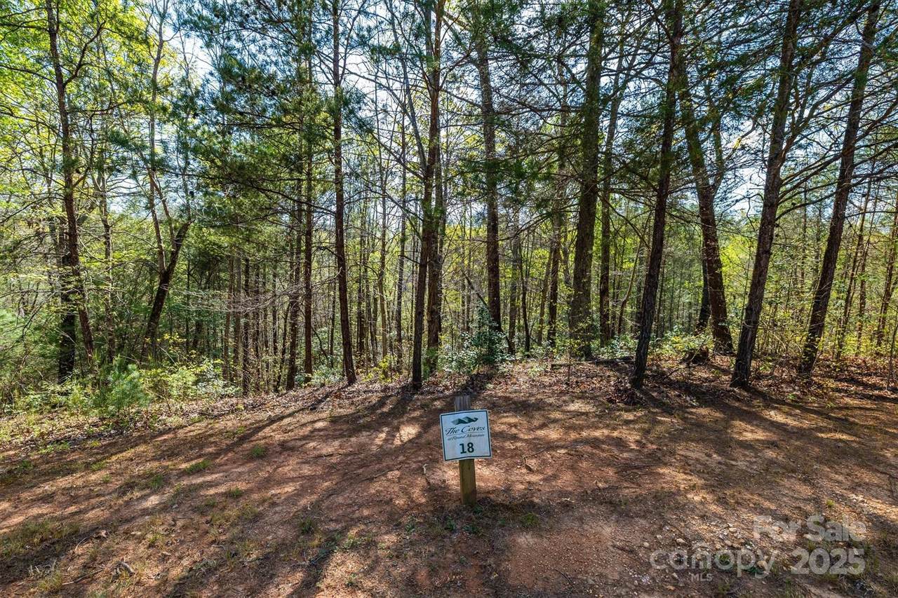 18 Walnut Ridge Way - Photo 1