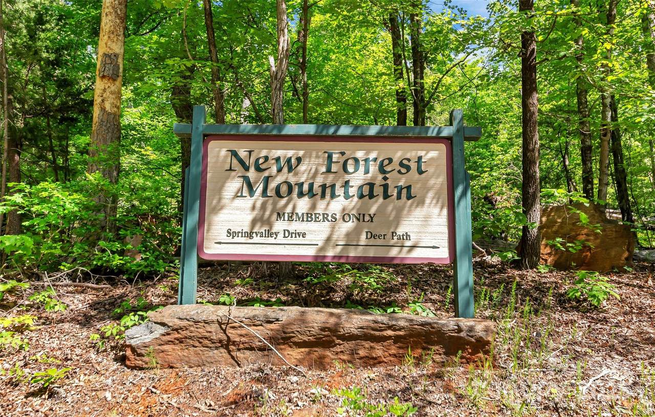 0 Maple Spring Drive - Photo 1