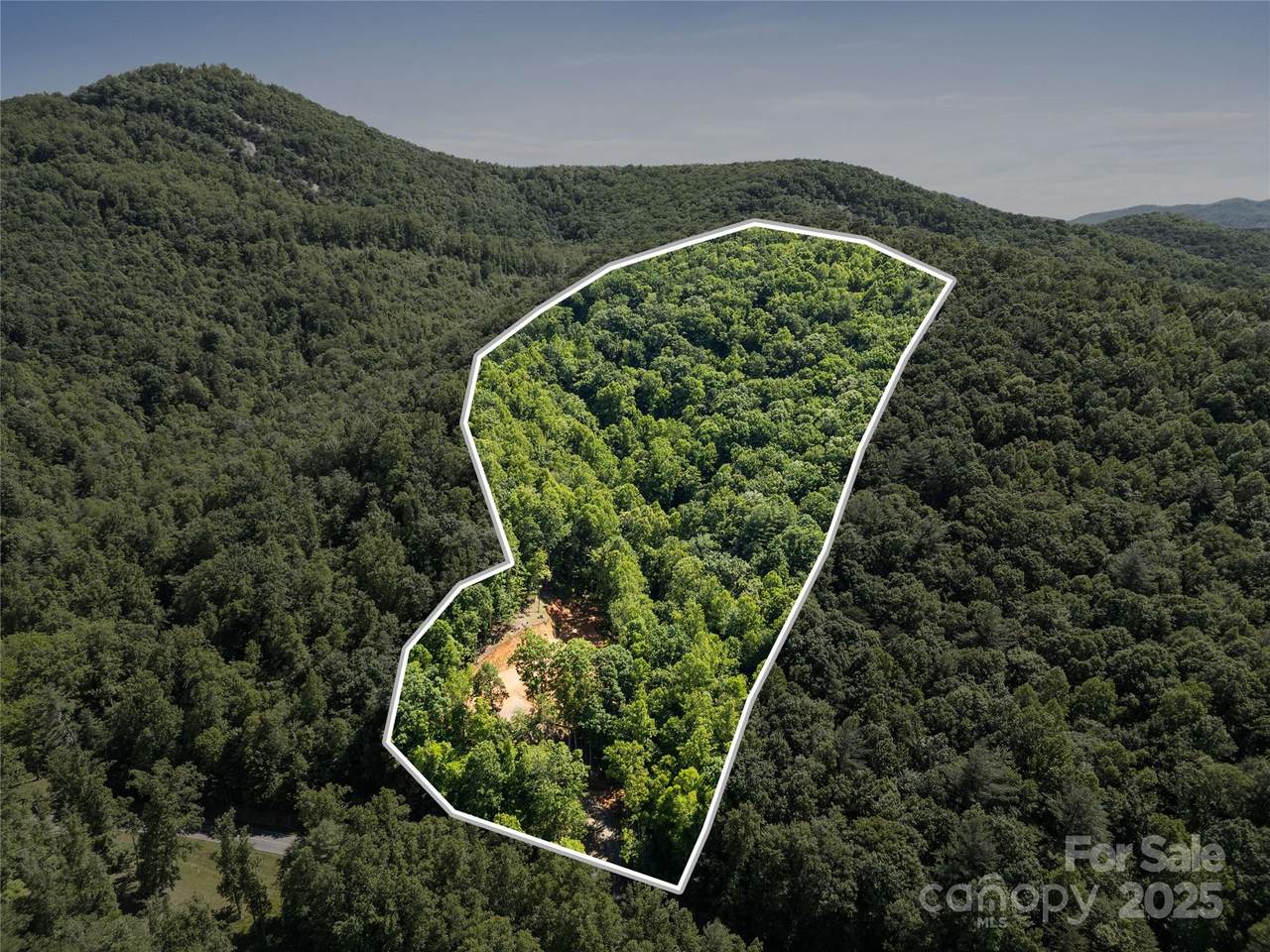 371 Boone Gap Lane - Photo 1