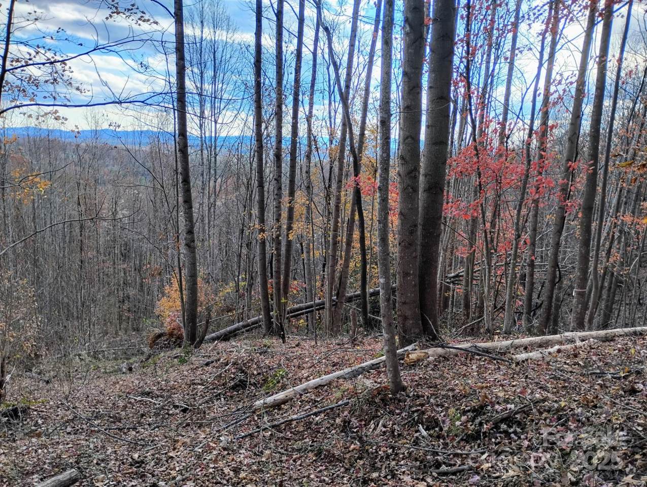 4899 White Oak Way - Photo 1