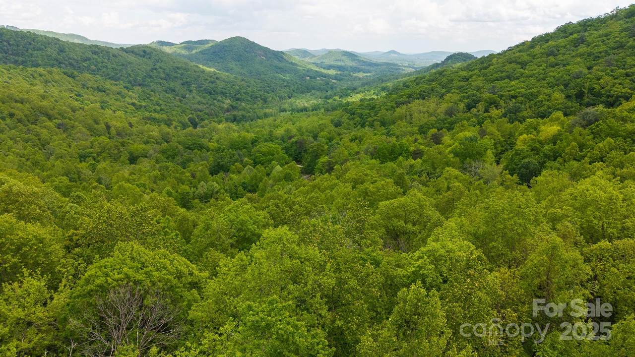 TBD Cove Gap Road - Photo 1