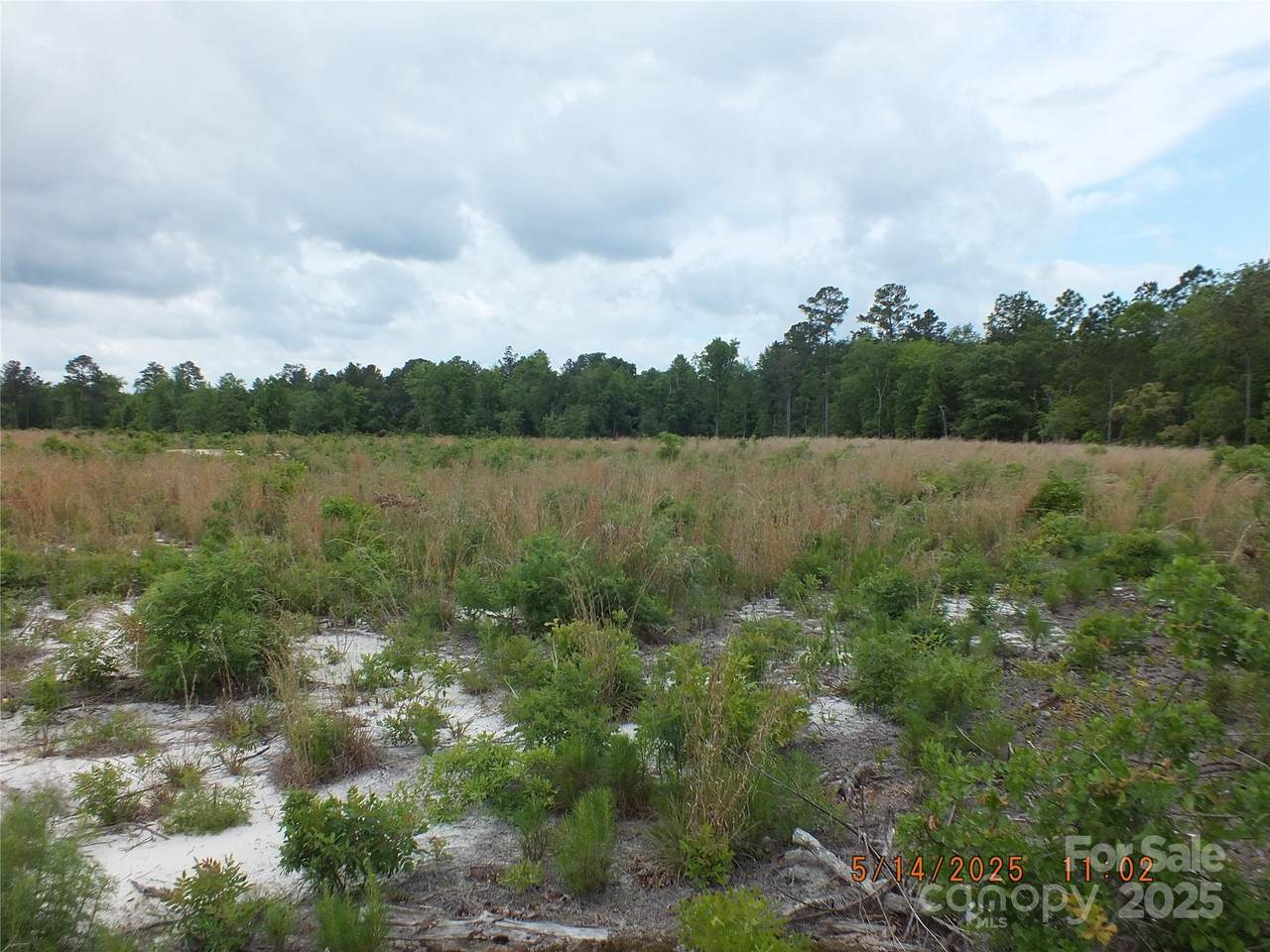 521 Oak Ridge Church Road - Photo 1