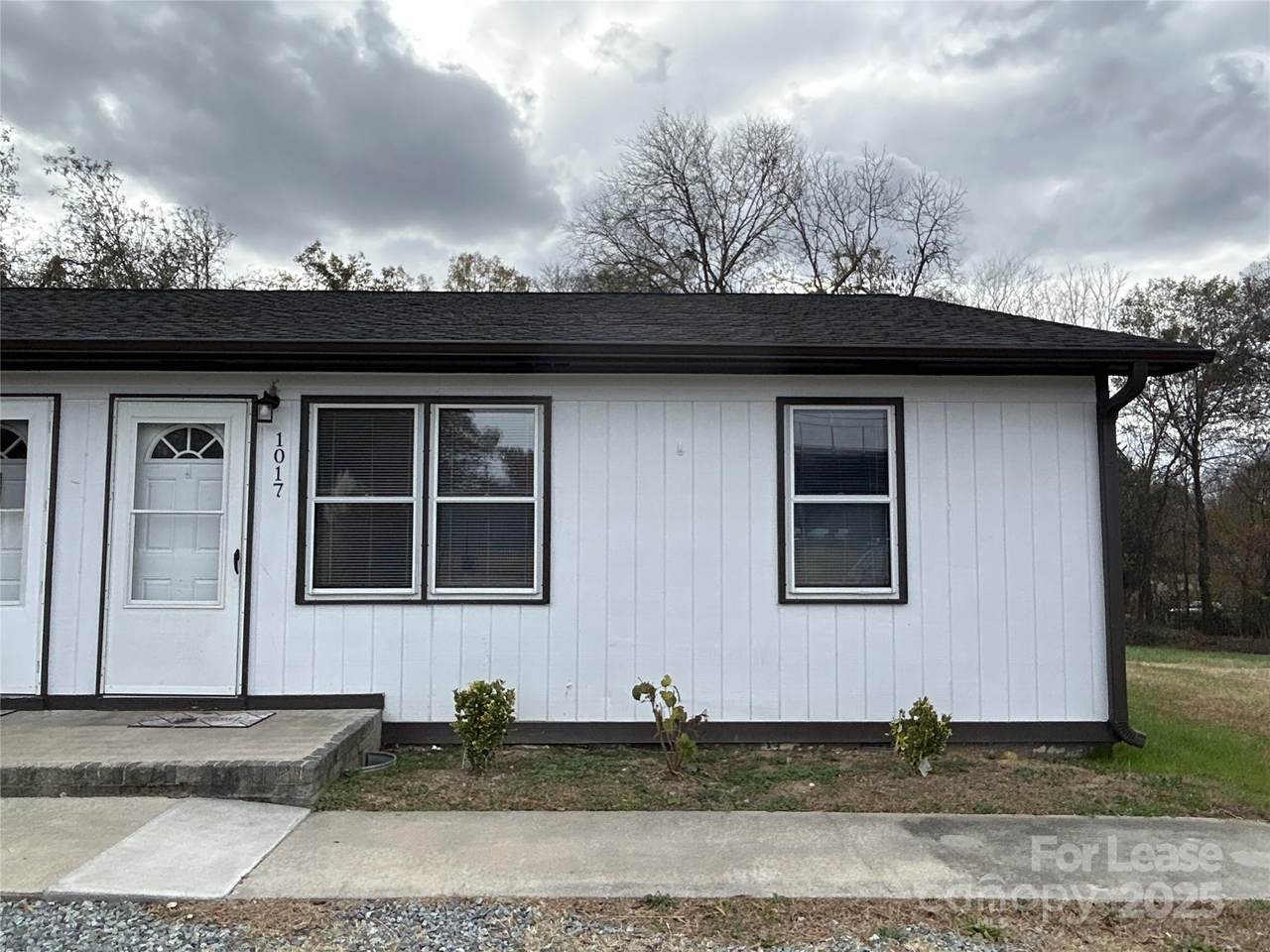 1017 Old Plank Road - Photo 1