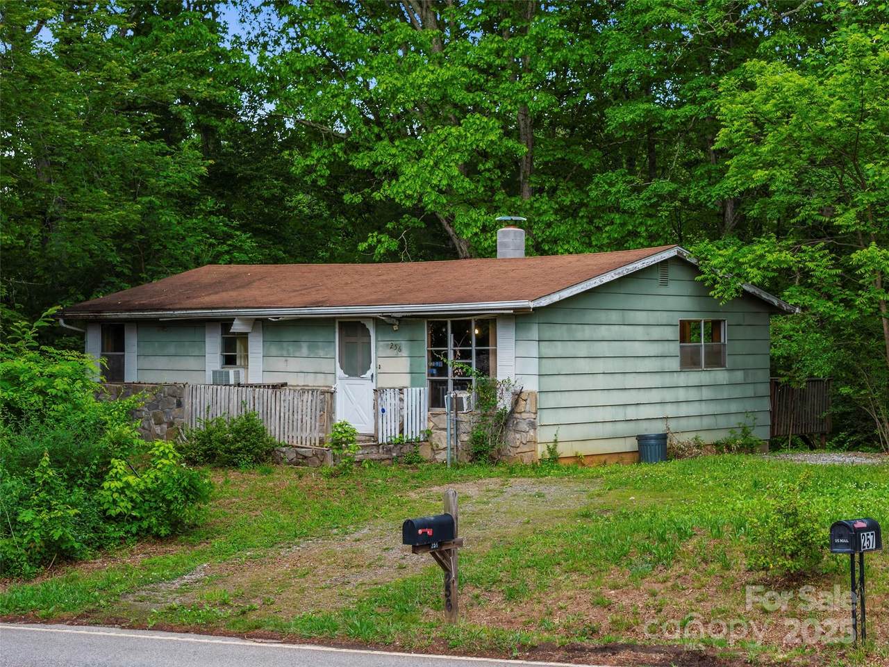 256 Goughes Branch Road - Photo 1