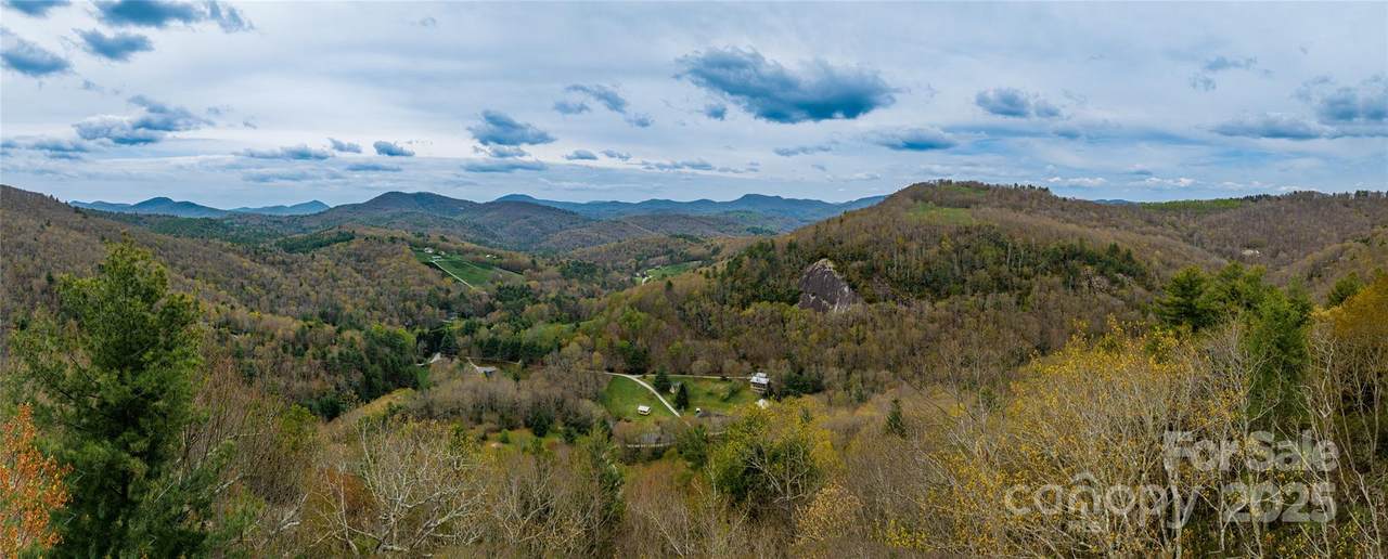 Lot 15 Shirley Pressley Road - Photo 1