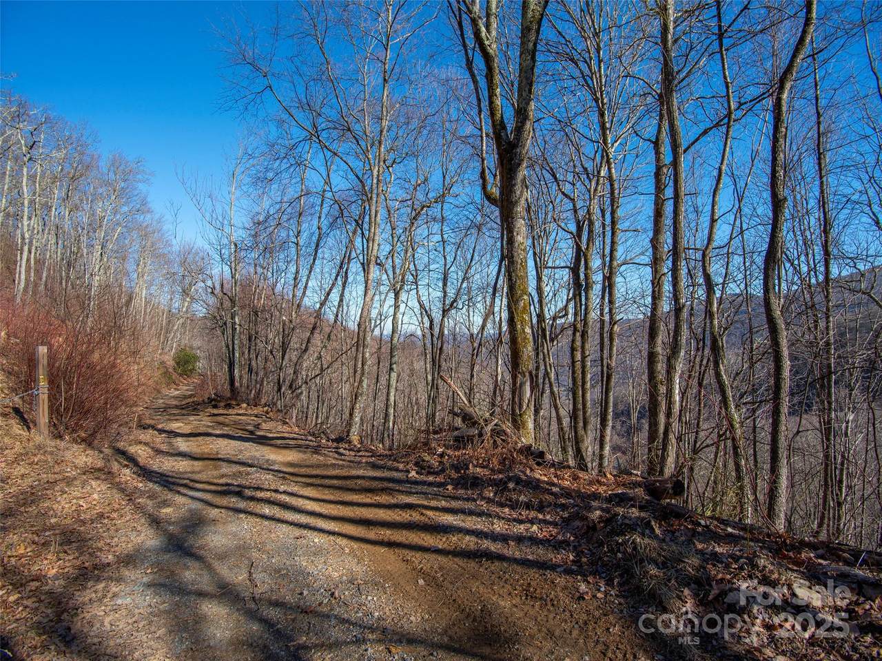 00 Long Branch Road - Photo 1