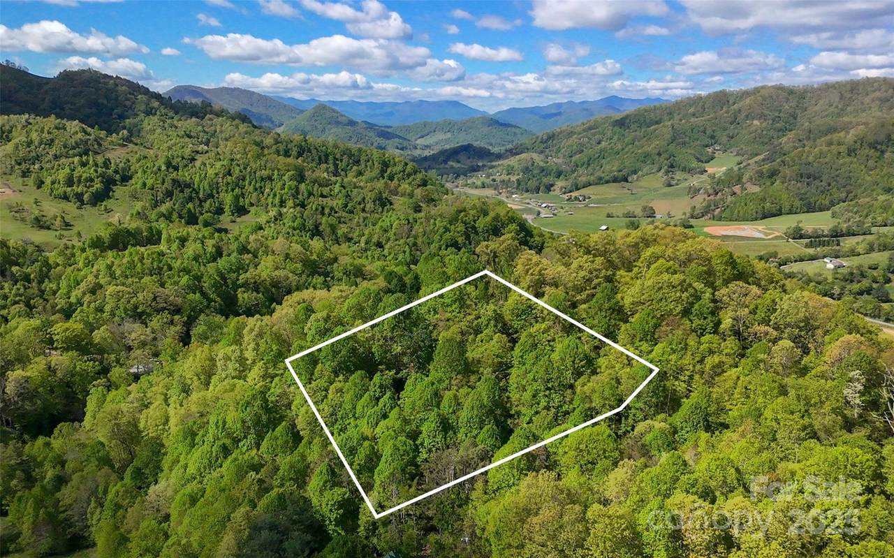 72 Lonesome Pines Road - Photo 1