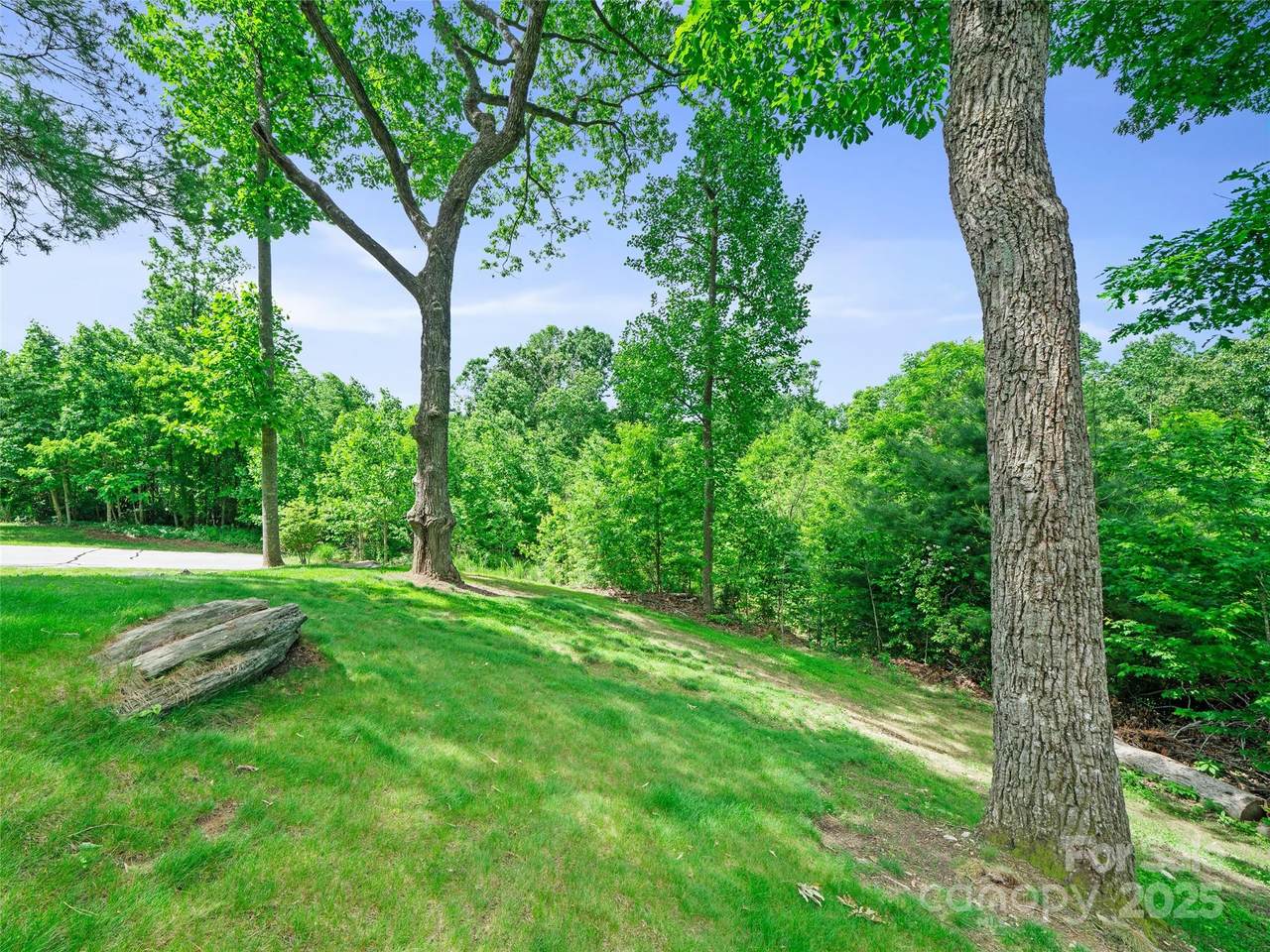 99999 Millbrae Loop - Photo 1