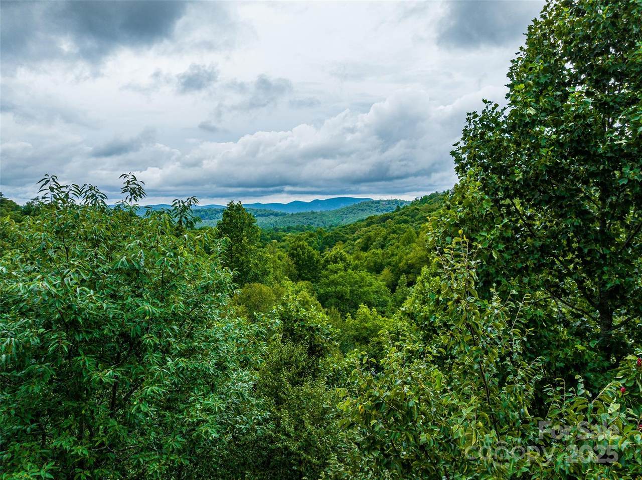 Lot 10 Ravenel Ridge Road - Photo 1