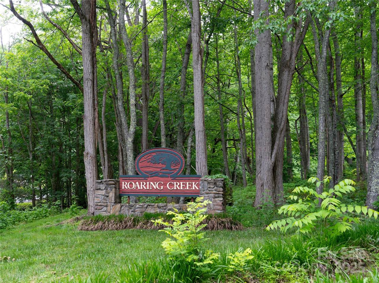 000 Roaring Creek Lane - Photo 1